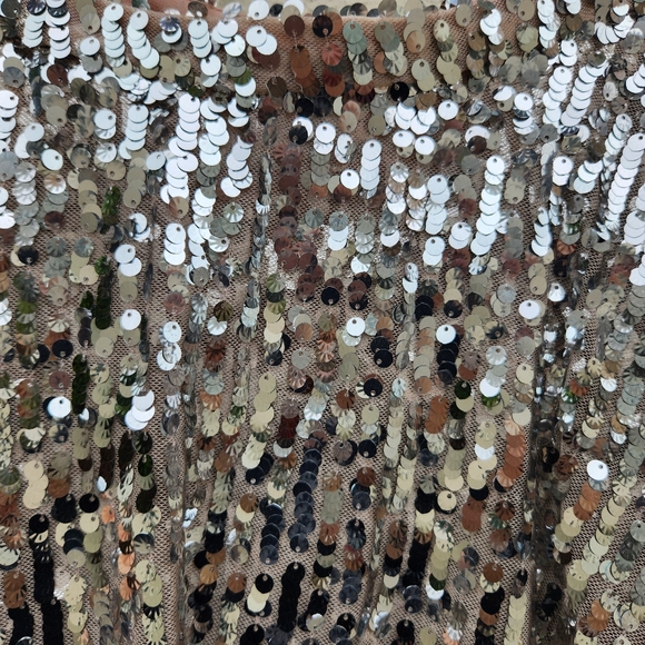 ZARA High Waisted Silver Sequin Ruffle Skirt - Picture 6 of 11